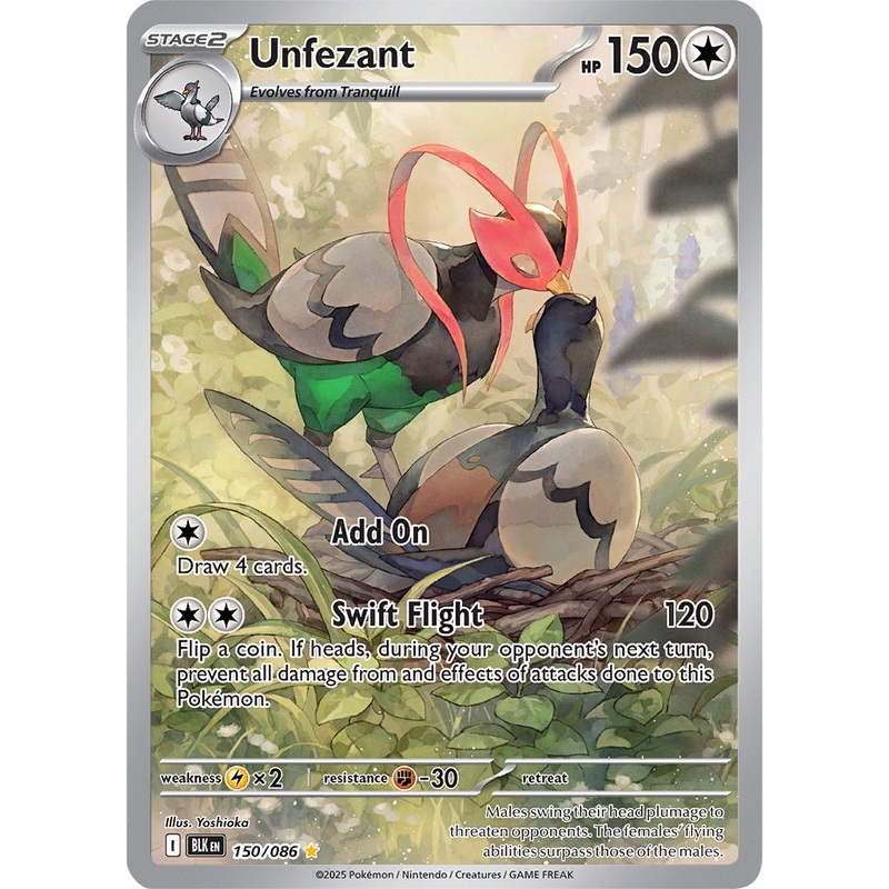 Unfezant – 150/086 – Illustration Rare Pokemon Black Bolt
